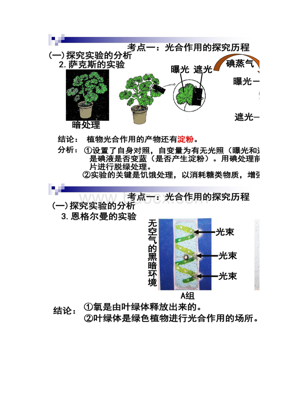 第10讲光合作用的探究历程与基本过程.docx_第3页