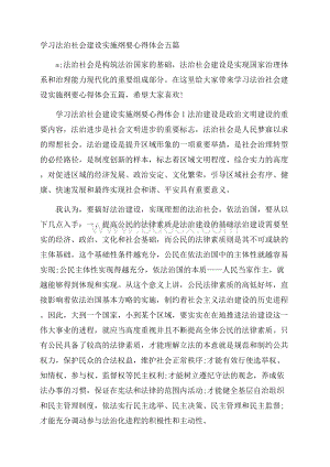 学习法治社会建设实施纲要心得体会五篇.docx