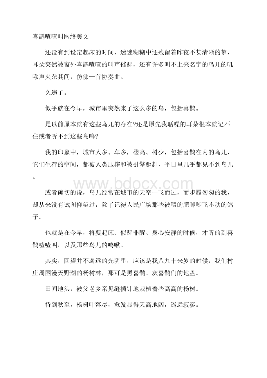 喜鹊喳喳叫网络美文.docx_第1页