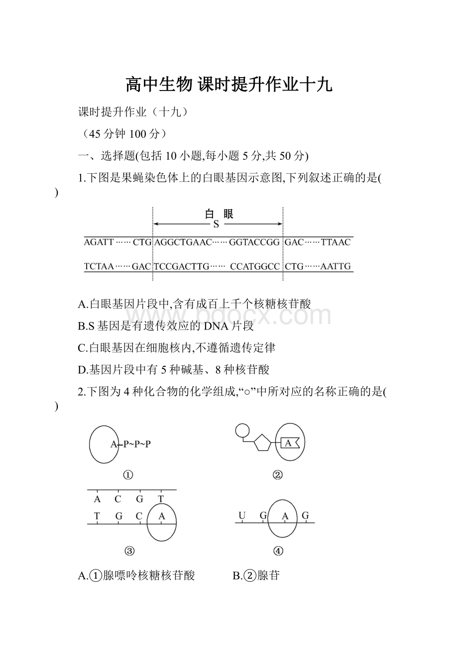 高中生物 课时提升作业十九.docx_第1页