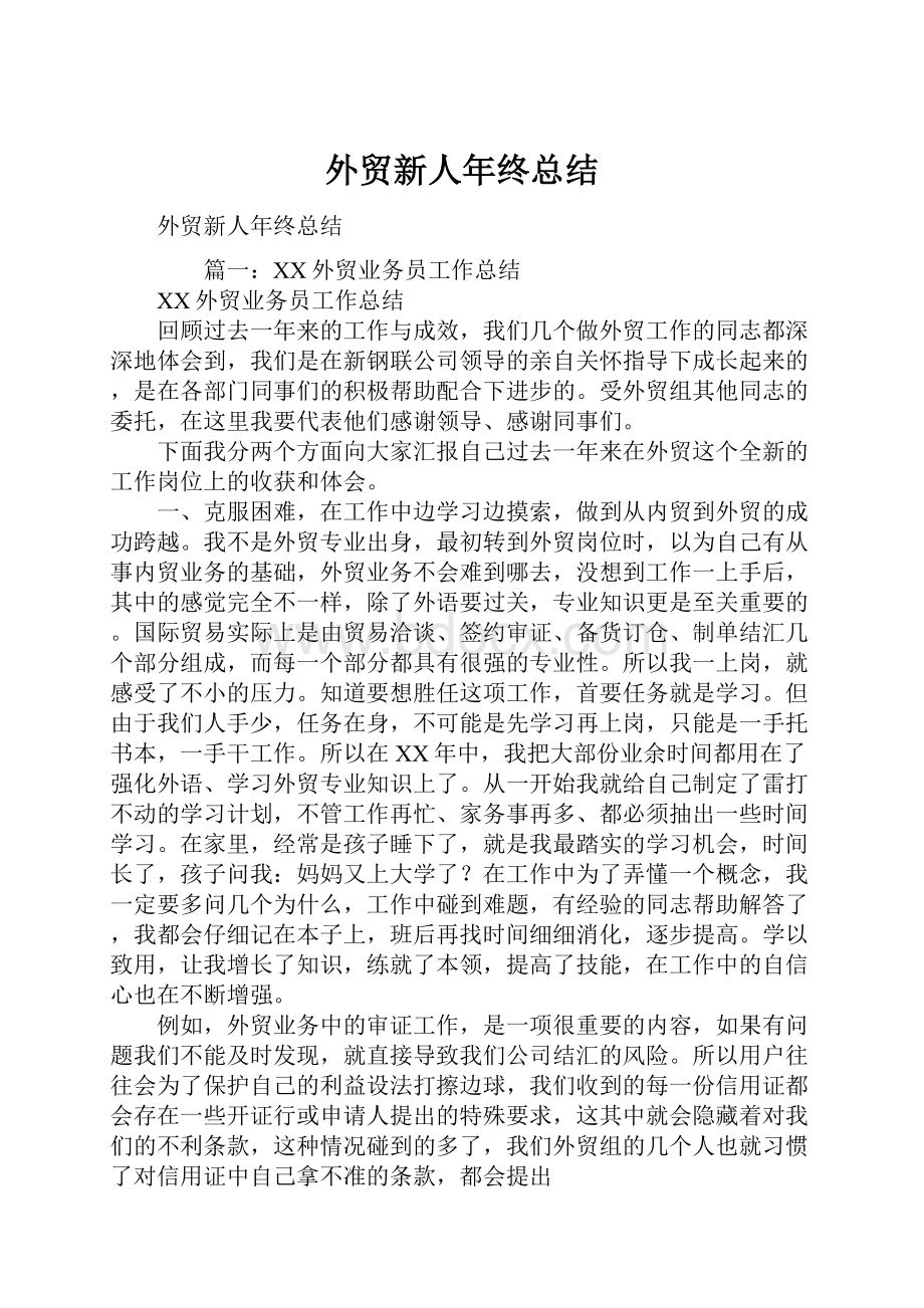 外贸新人年终总结.docx_第1页