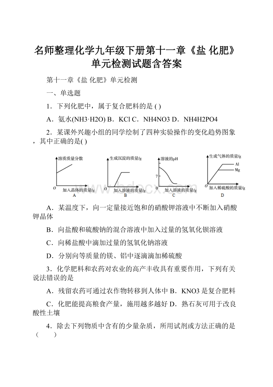 名师整理化学九年级下册第十一章《盐 化肥》单元检测试题含答案.docx