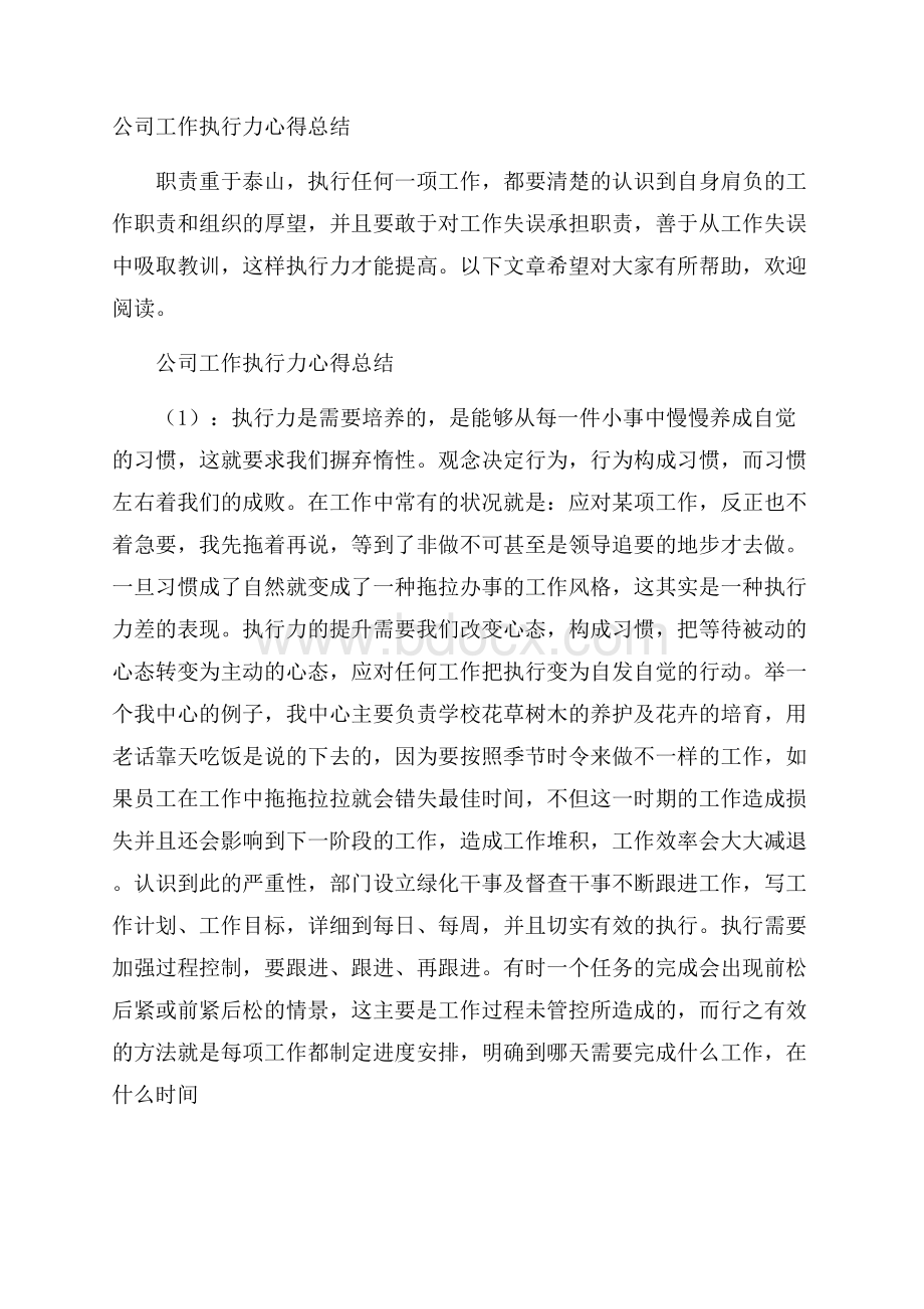 公司工作执行力心得总结.docx