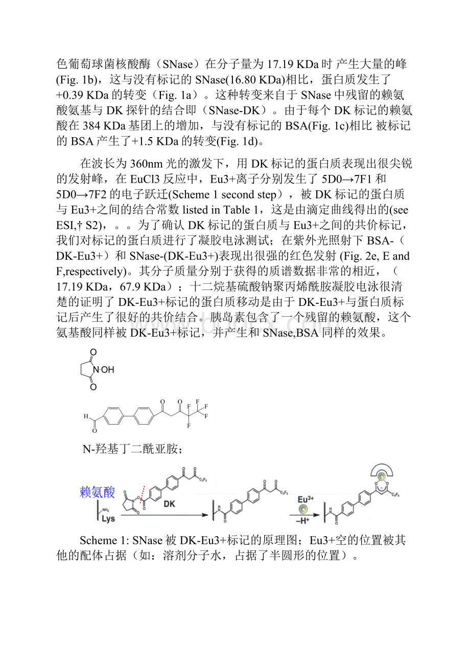 镧系元素和二酮结合于蛋白质标记来检测蛋白质.docx_第2页