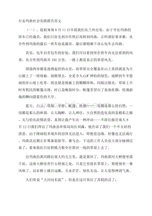 行走玛曲社会实践报告范文.docx