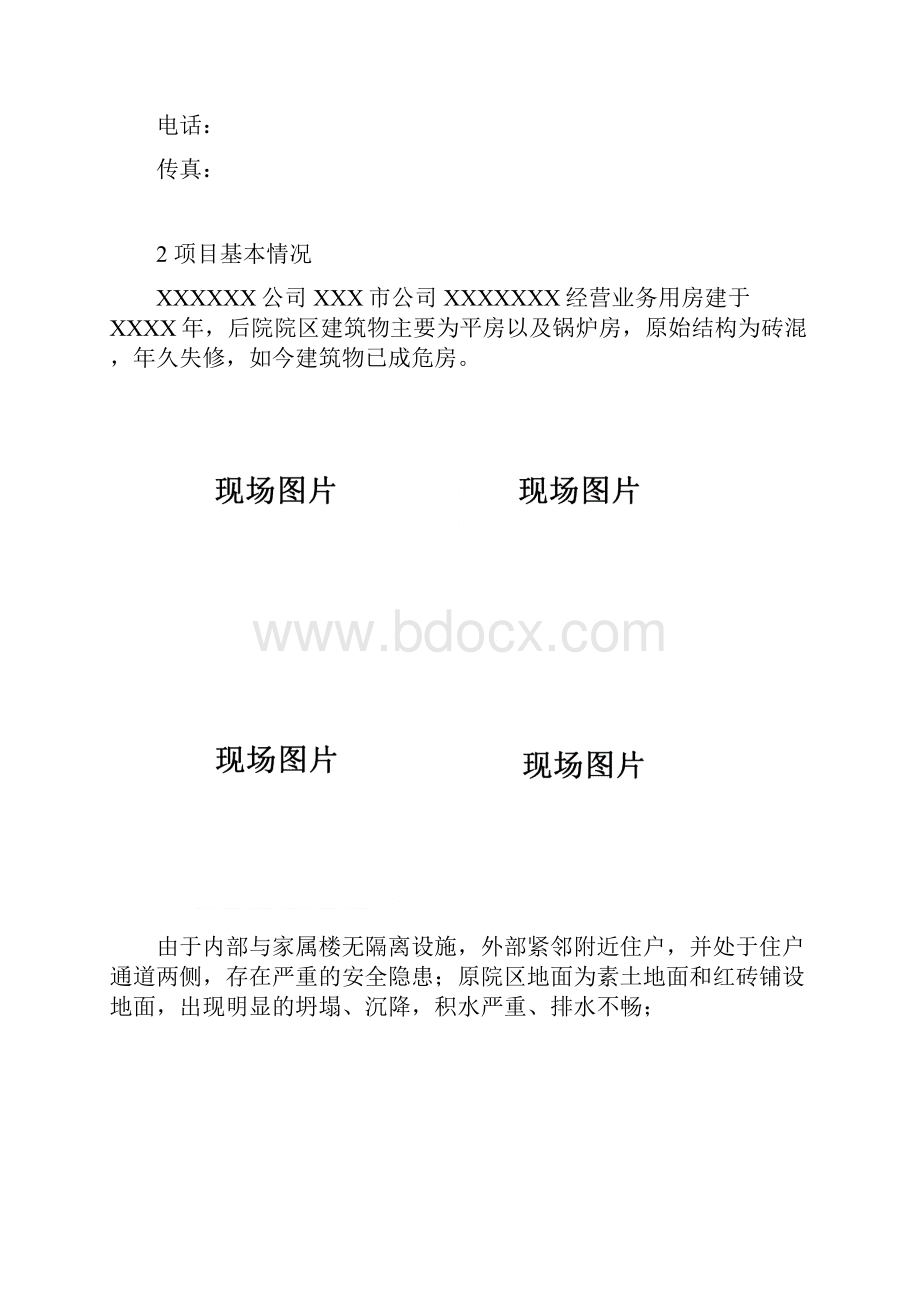 XXX项目报告书模板.docx_第3页