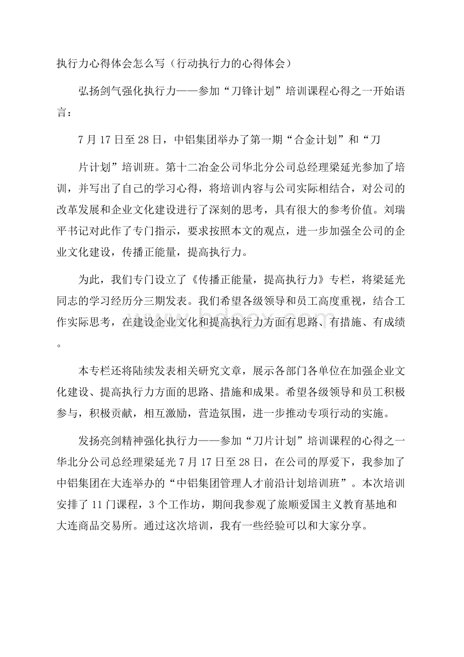 执行力心得体会怎么写(行动执行力的心得体会).docx_第1页