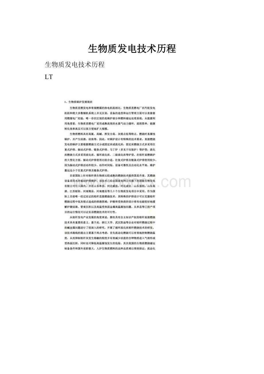 生物质发电技术历程.docx_第1页