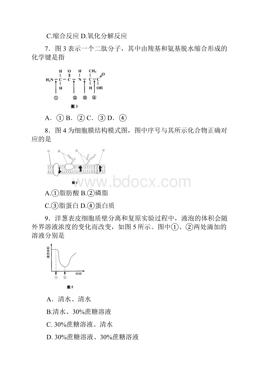 上海高中生物学业水平合格性考试模拟题.docx_第2页