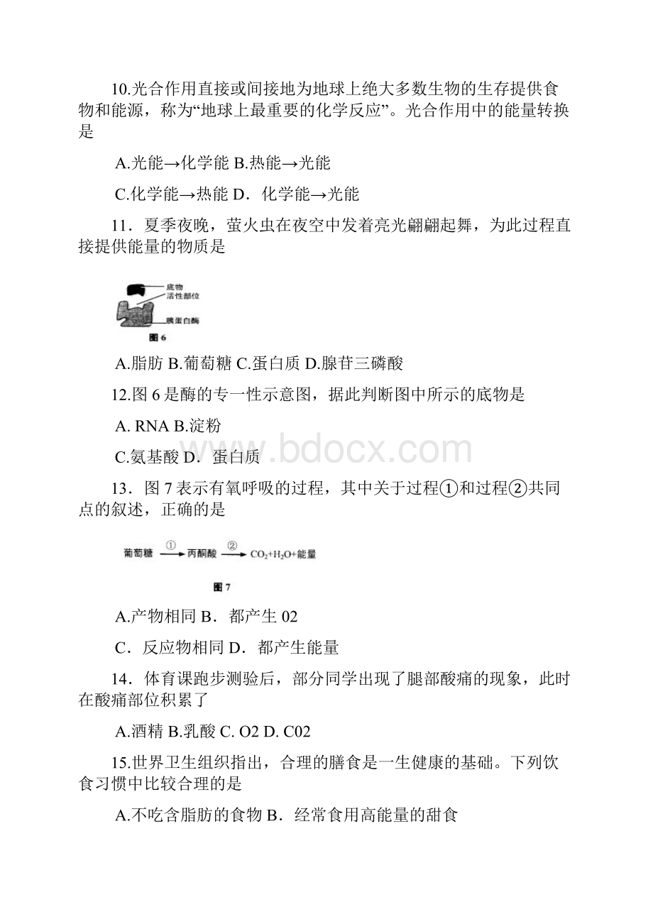 上海高中生物学业水平合格性考试模拟题.docx_第3页