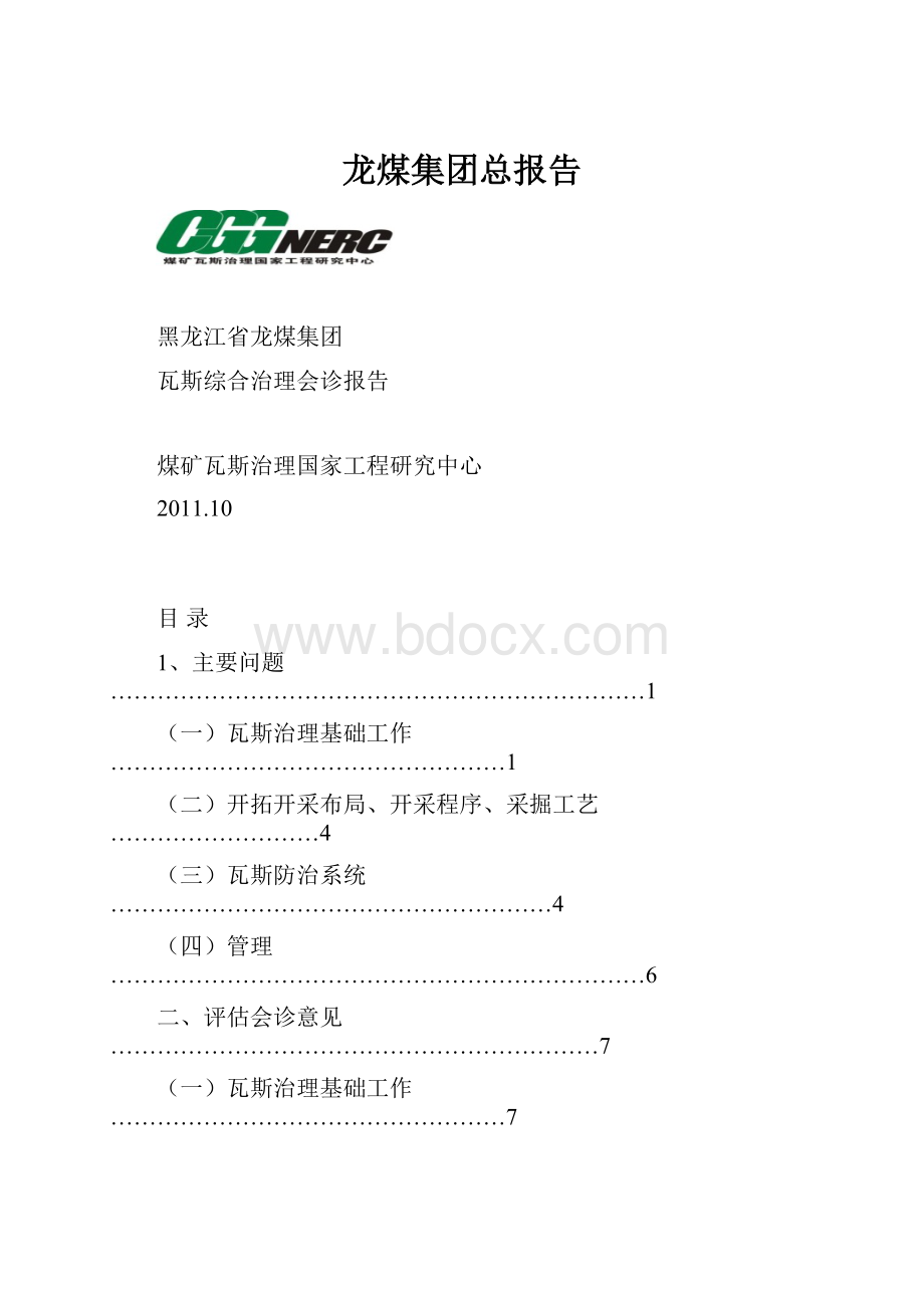 龙煤集团总报告.docx