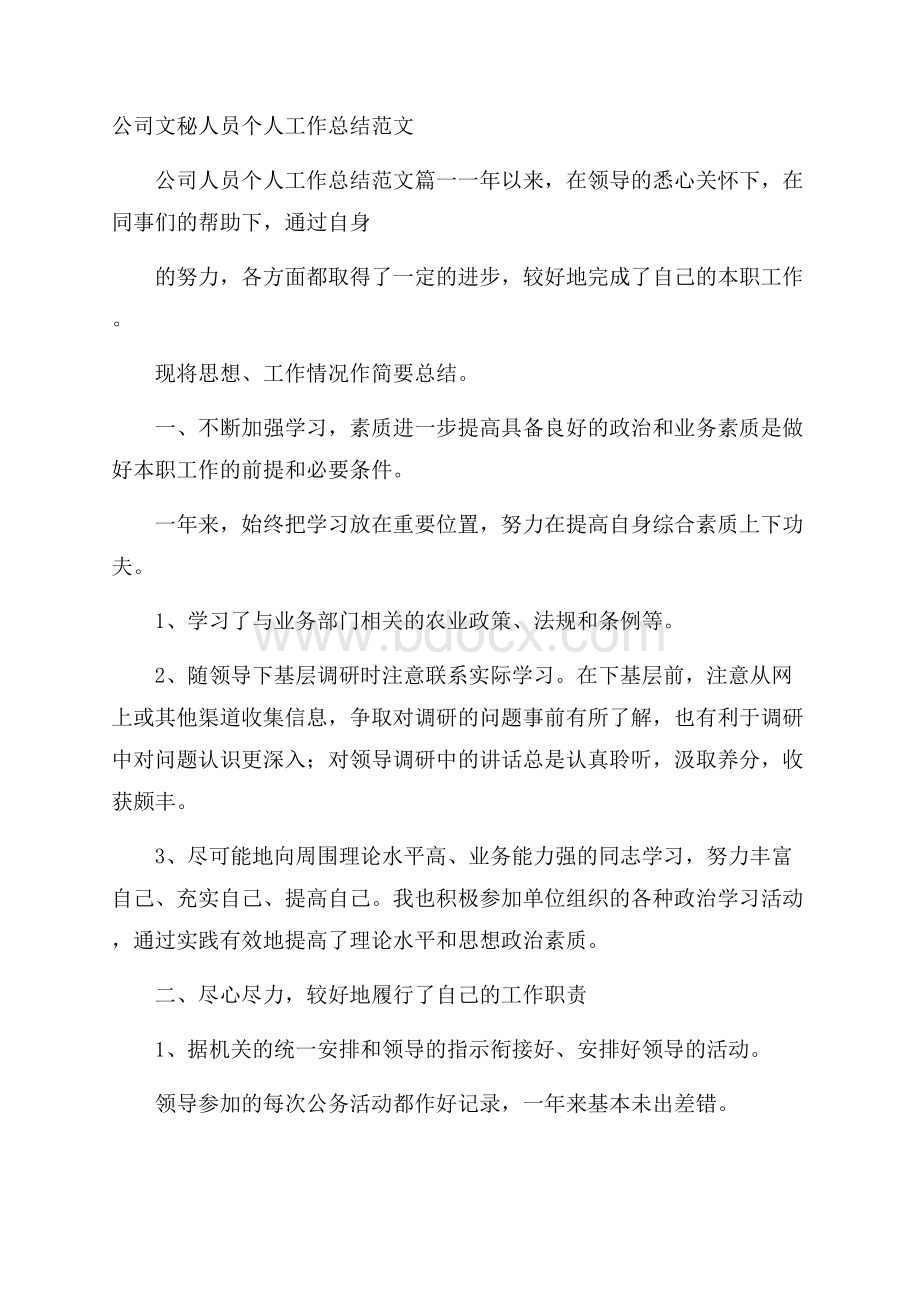 公司文秘人员个人工作总结范文.docx