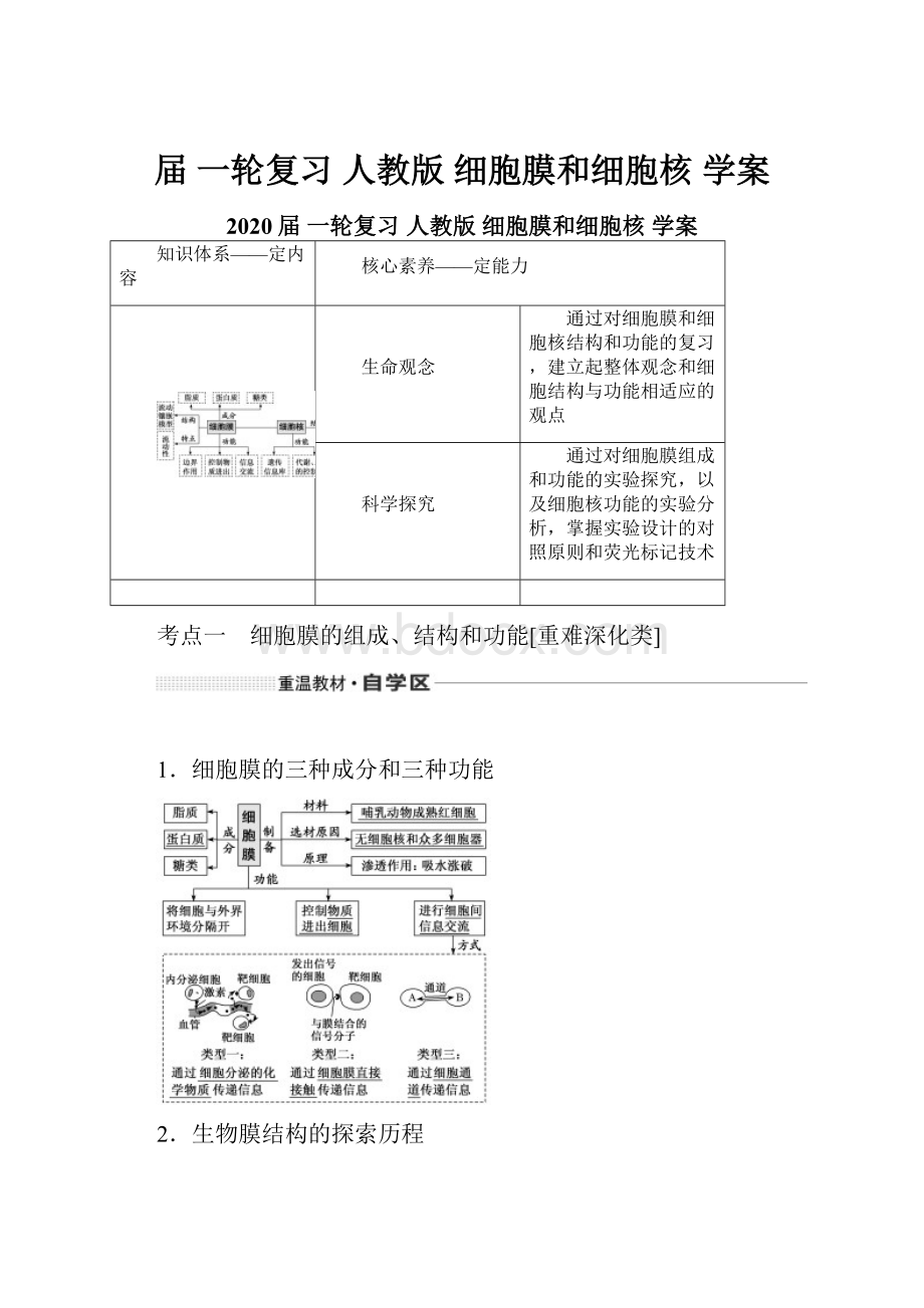 届 一轮复习 人教版 细胞膜和细胞核 学案.docx