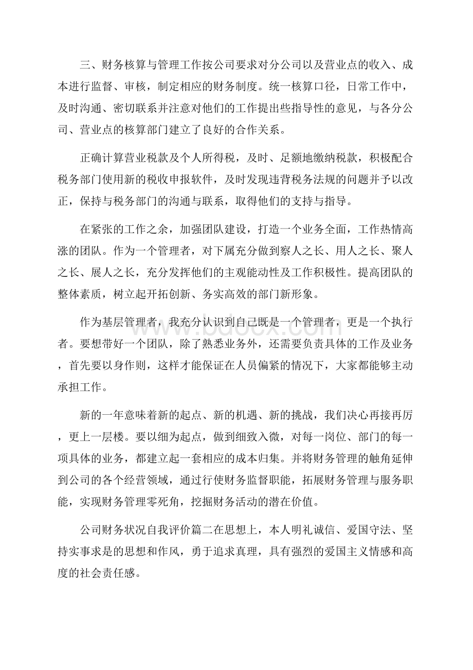 公司财务状况自我评价.docx_第2页