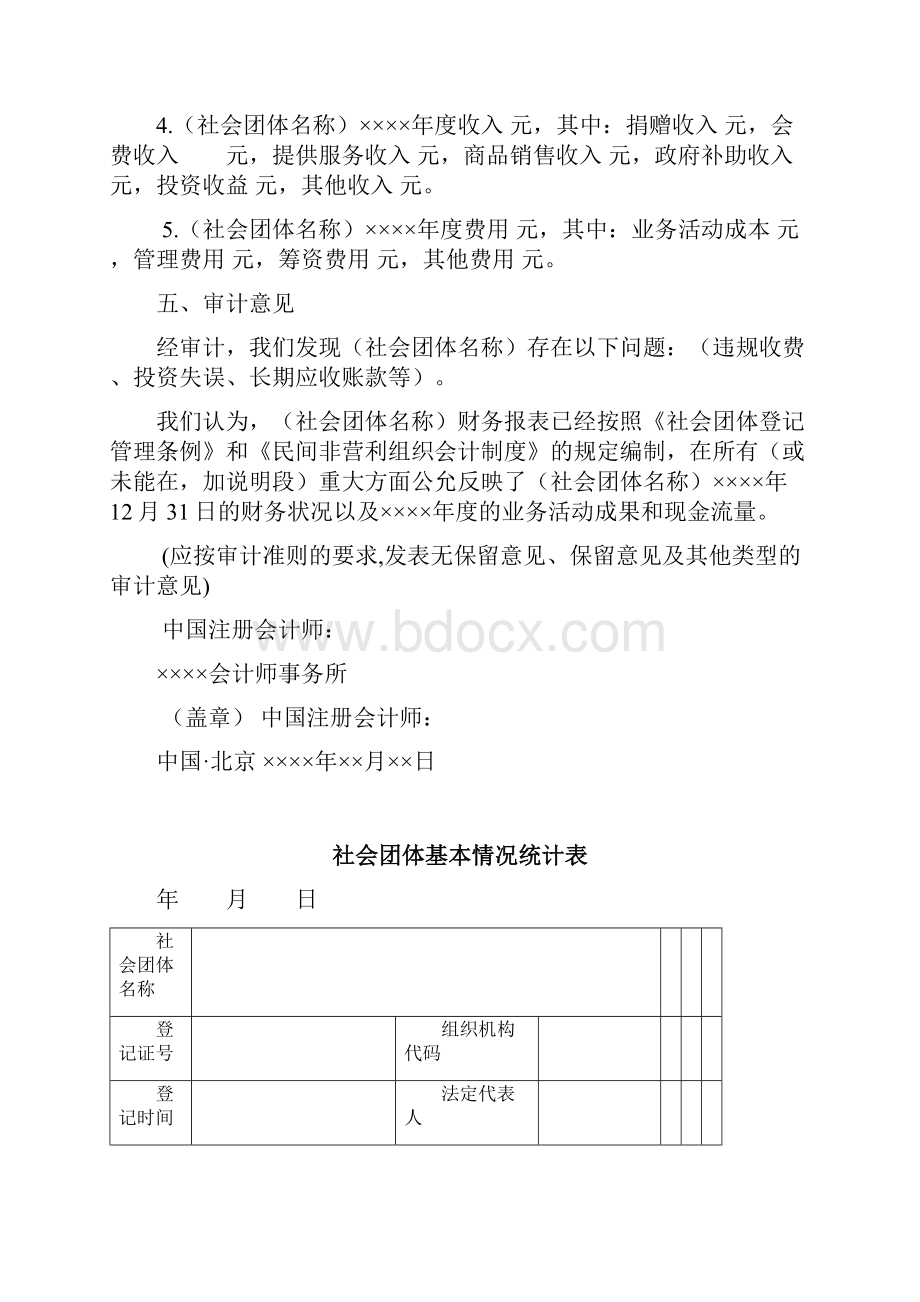 社会团体财务审计报告模板.docx_第3页