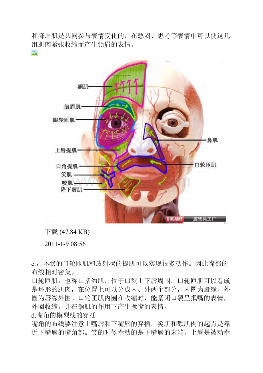 人头面部布线详解.docx_第3页