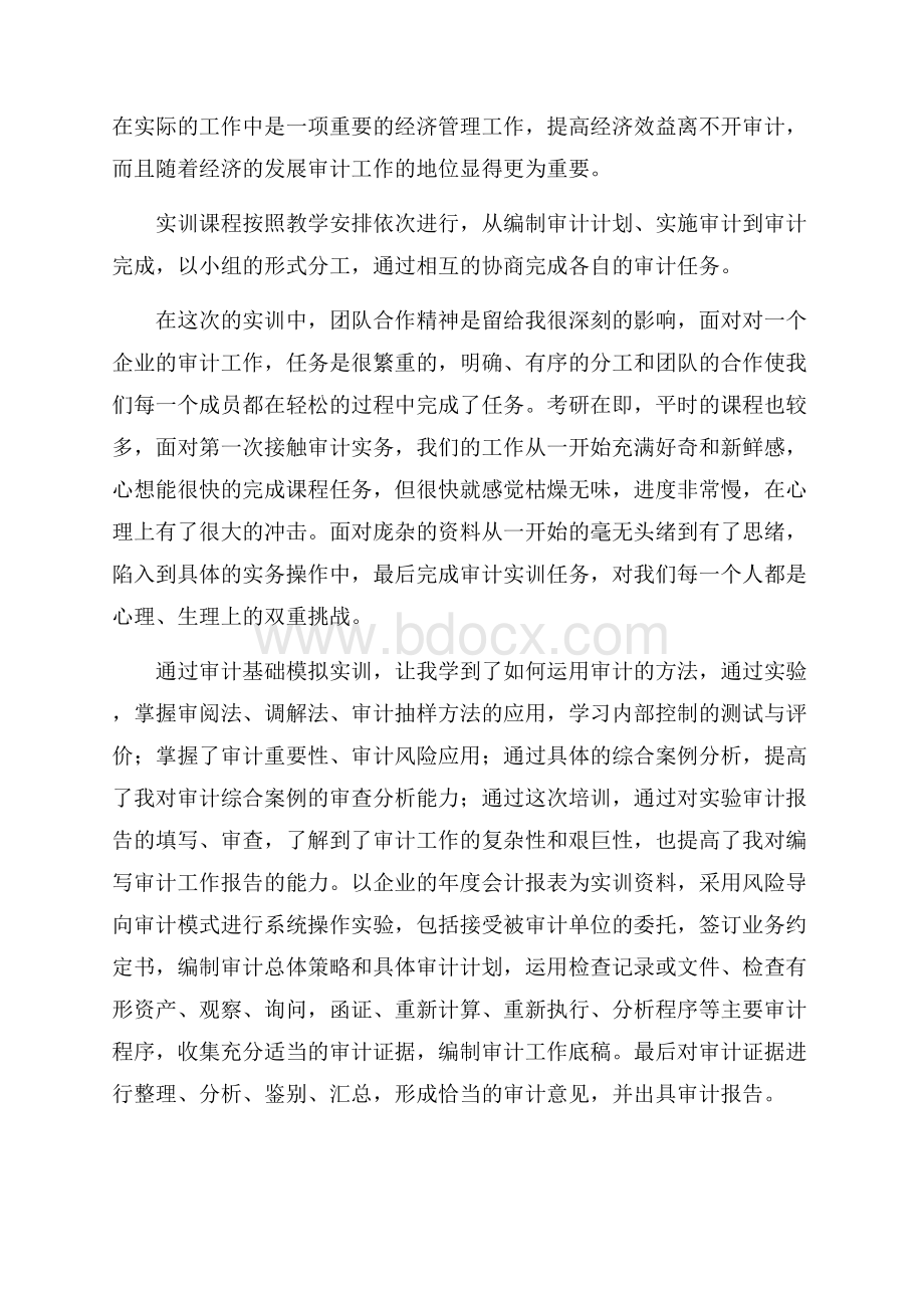 关于审计实训的心得体会范文.docx_第3页