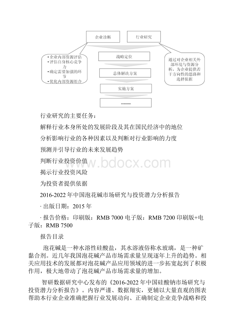 中国泡花碱市场研究与投资潜力分析报告.docx_第3页