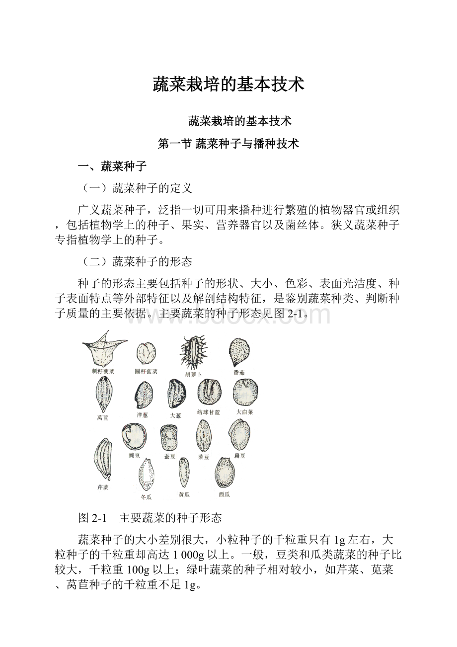 蔬菜栽培的基本技术.docx