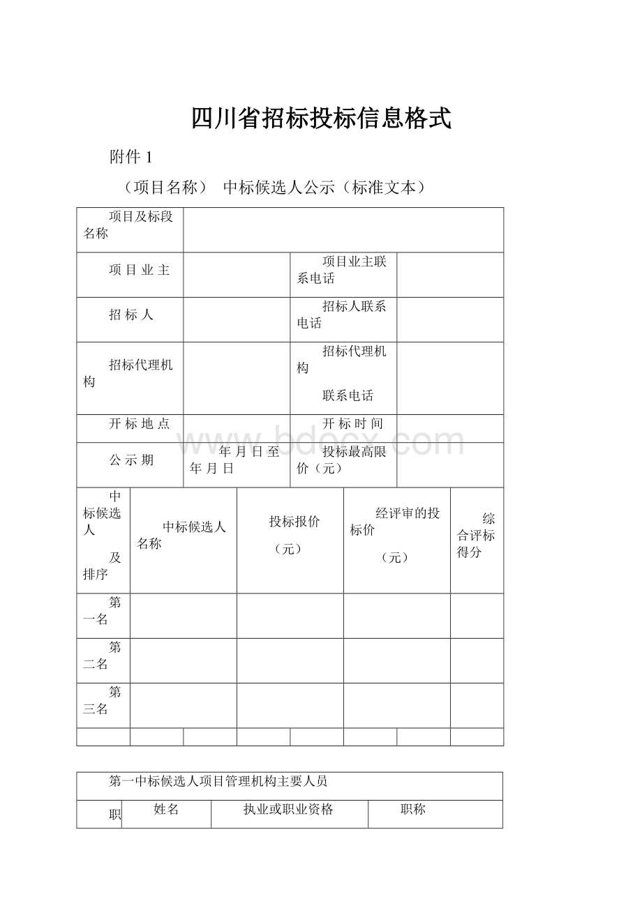 四川省招标投标信息格式.docx_第1页