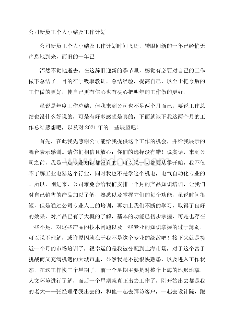 公司新员工个人小结及工作计划.docx_第1页