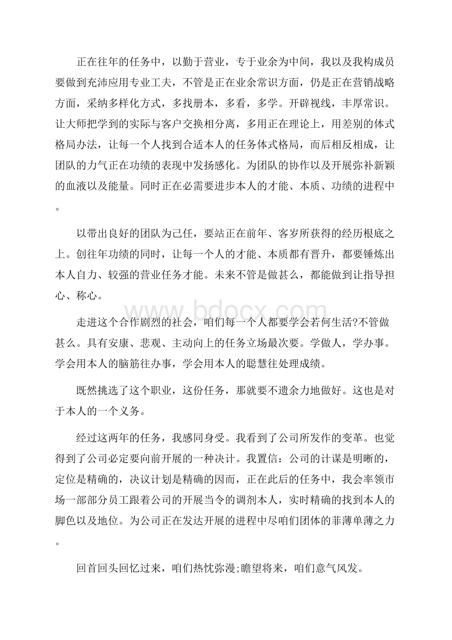 销售总监个人工作总结.docx_第2页