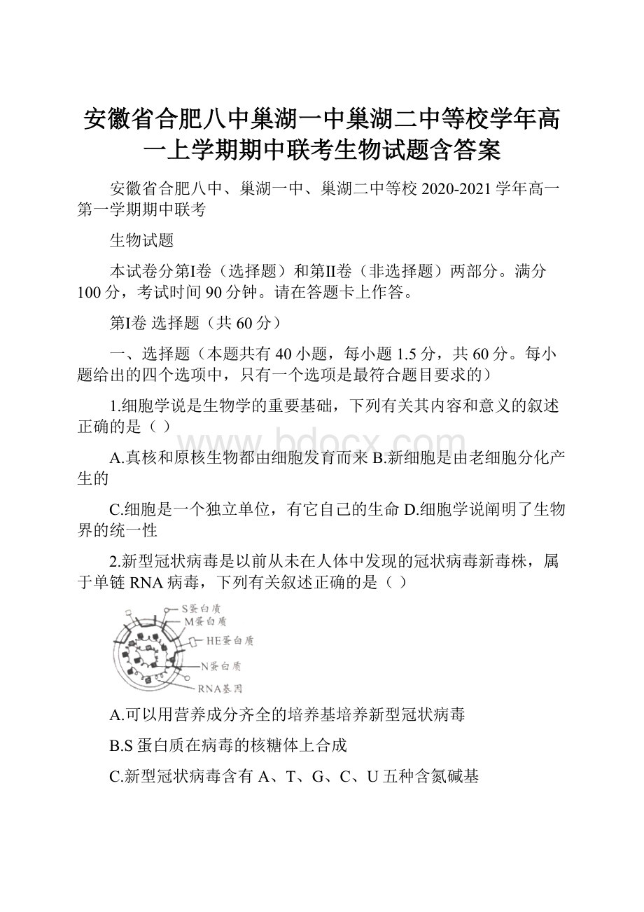 安徽省合肥八中巢湖一中巢湖二中等校学年高一上学期期中联考生物试题含答案.docx_第1页