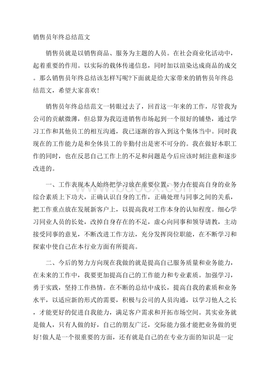 销售员年终总结范文.docx