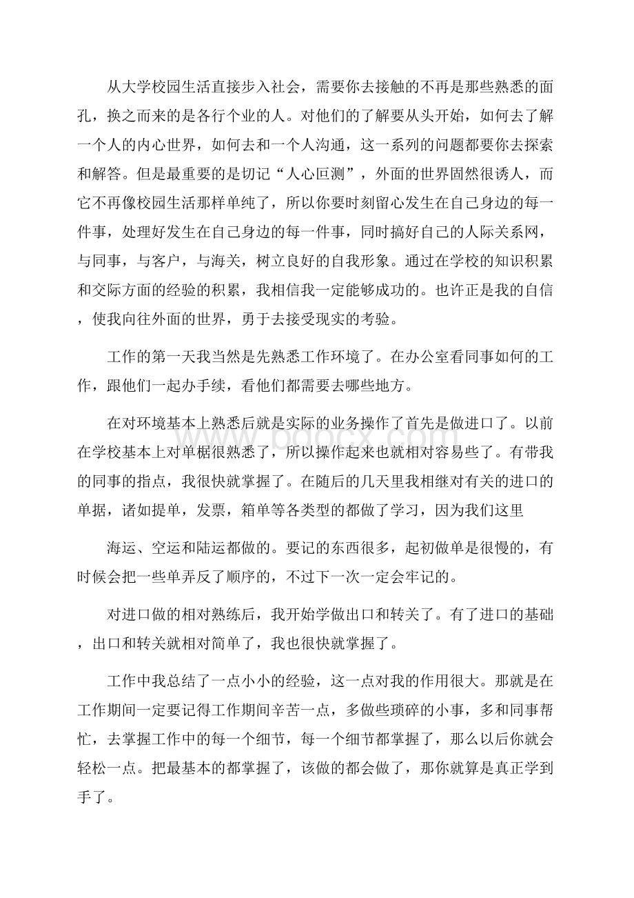 报关员个人工作总结与计划.docx_第2页