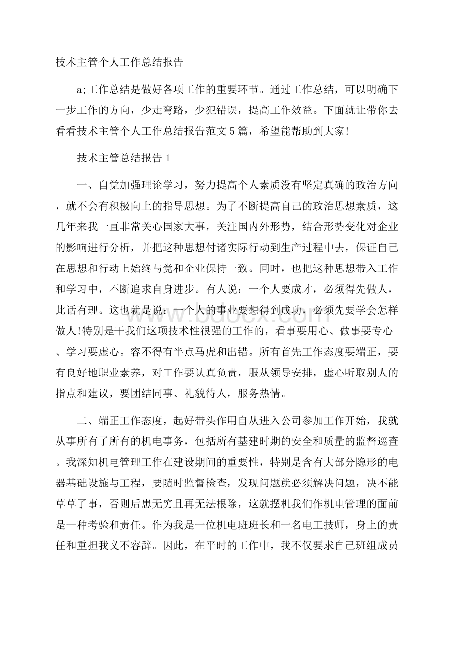 技术主管个人工作总结报告.docx_第1页