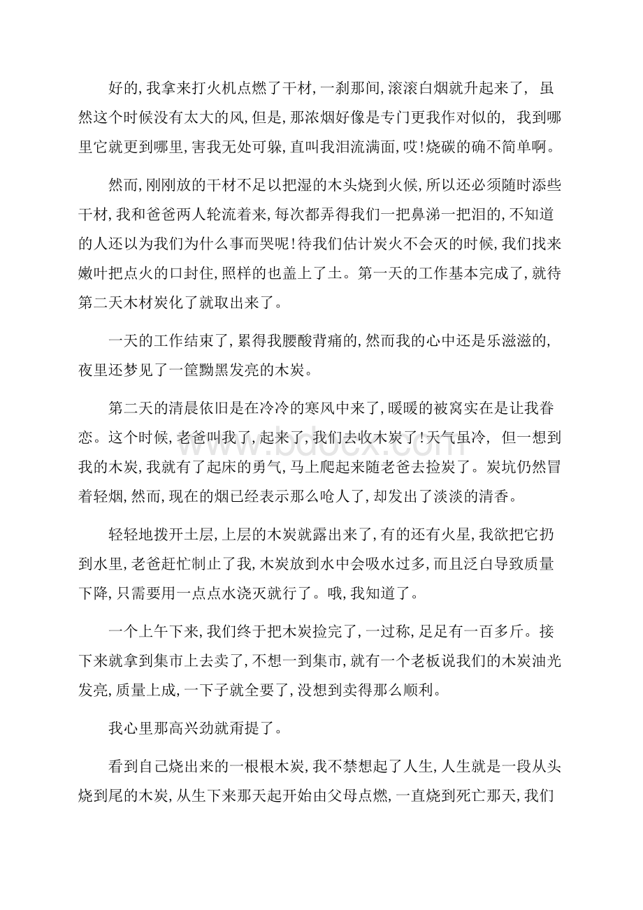 高中寒假社会实践报告及汇报.docx_第2页