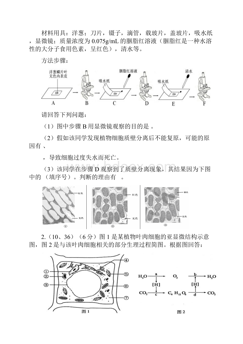 高中生物必修1分子与细胞期末复习专项练习简答题.docx_第2页