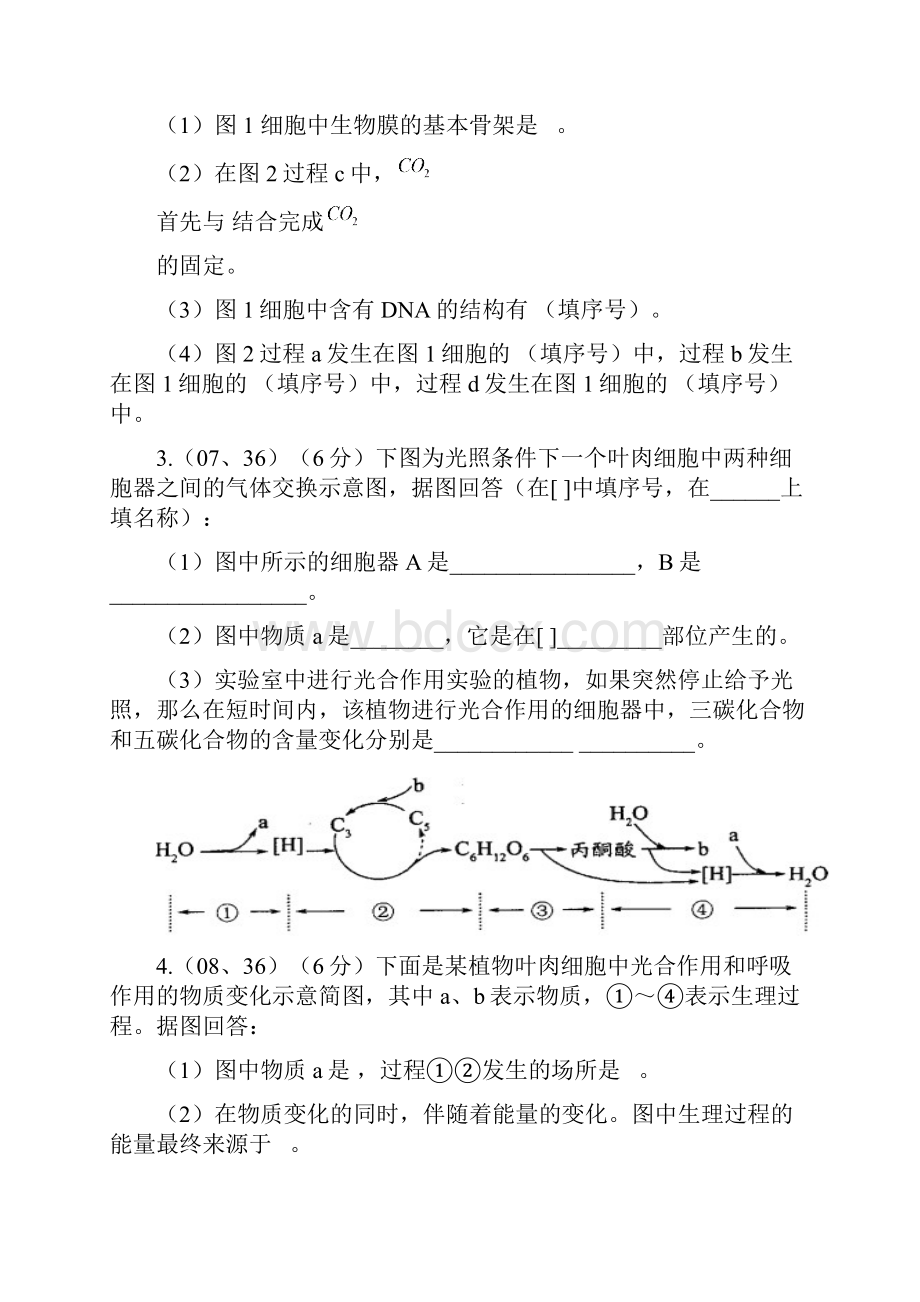 高中生物必修1分子与细胞期末复习专项练习简答题.docx_第3页