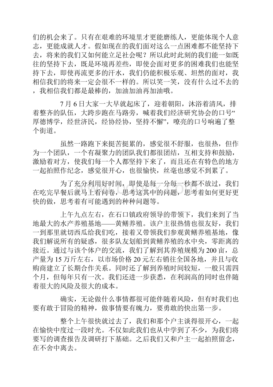 暑期三下乡社会实践活动总结精选3篇.docx_第2页