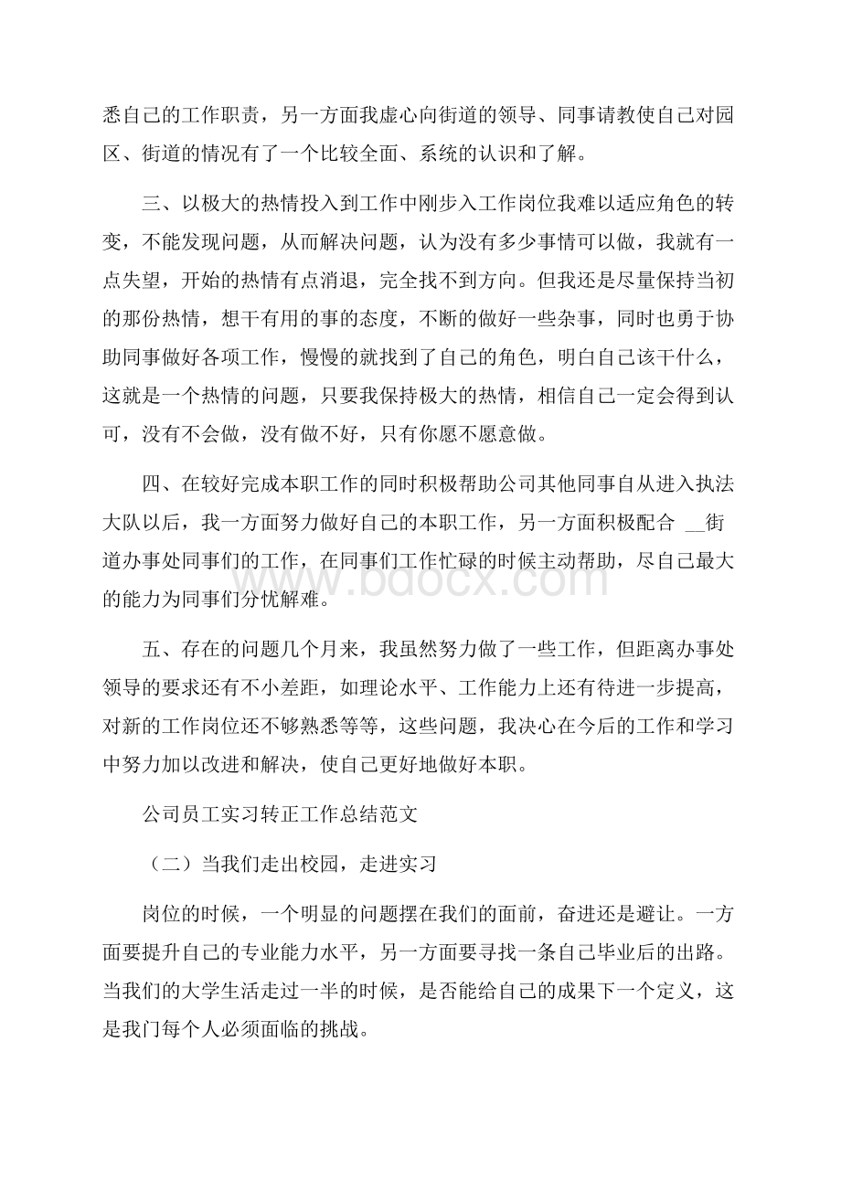 公司员工实习转正工作总结.docx_第2页