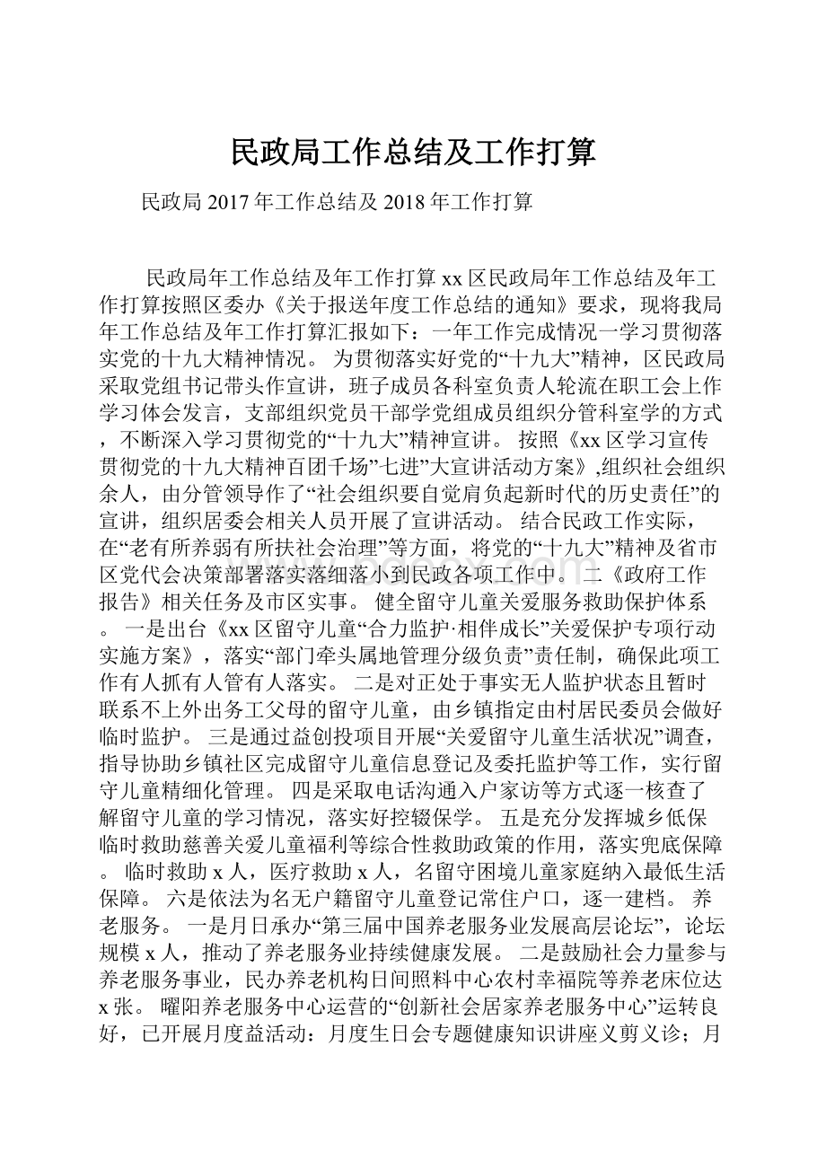 民政局工作总结及工作打算.docx_第1页