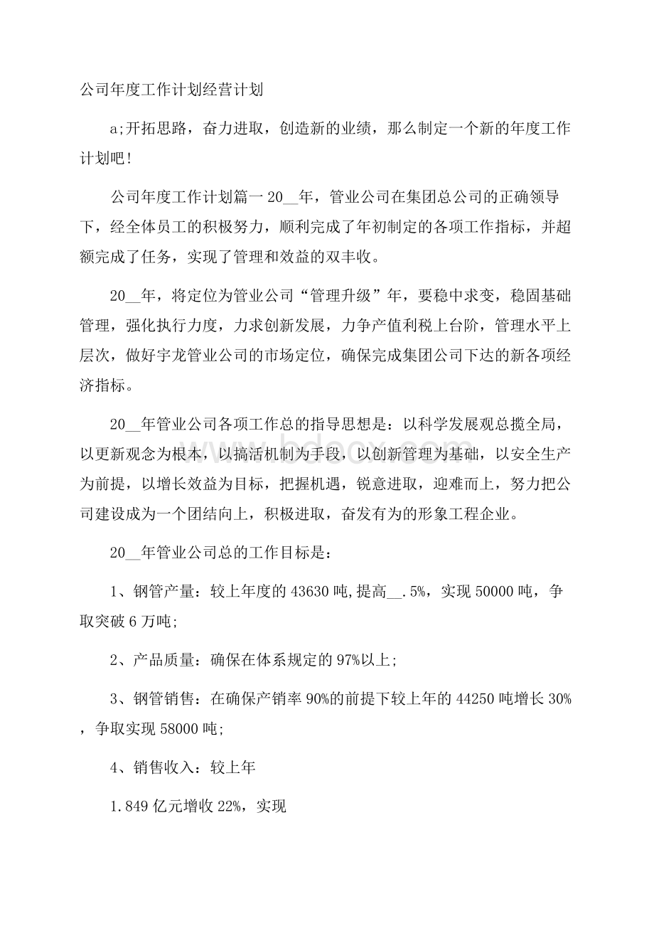 公司年度工作计划经营计划.docx