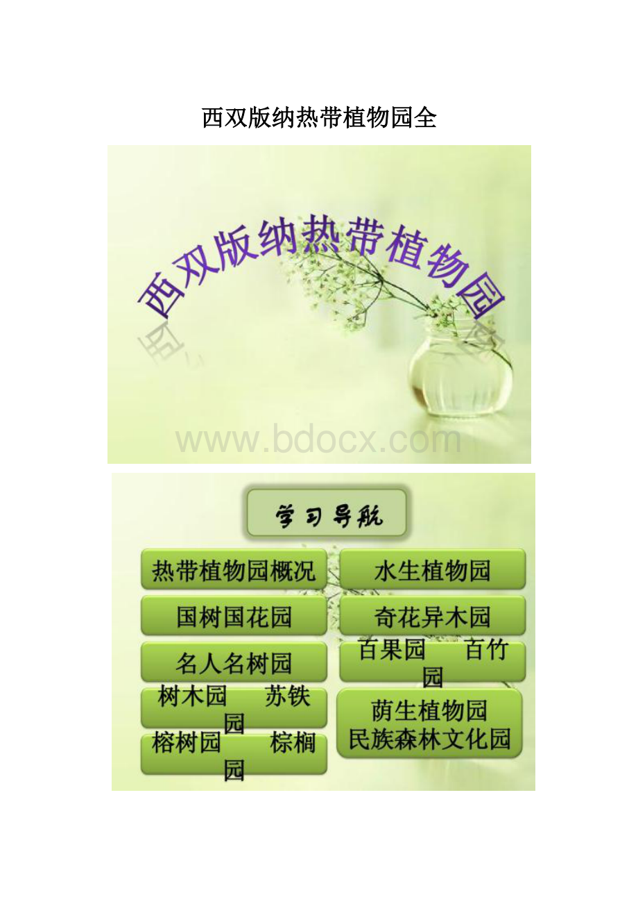 西双版纳热带植物园全.docx_第1页