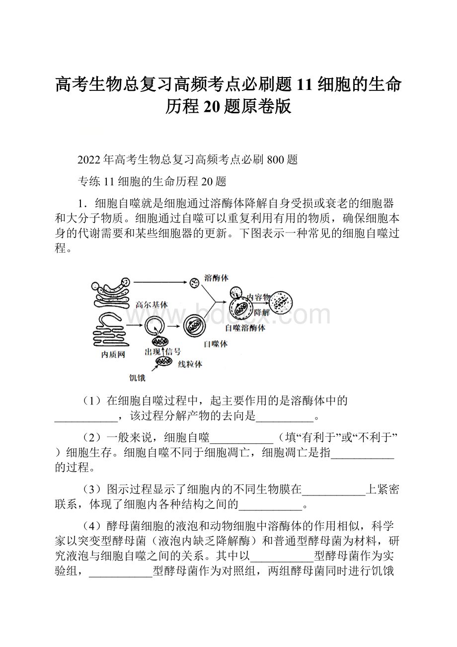 高考生物总复习高频考点必刷题11 细胞的生命历程20题原卷版.docx