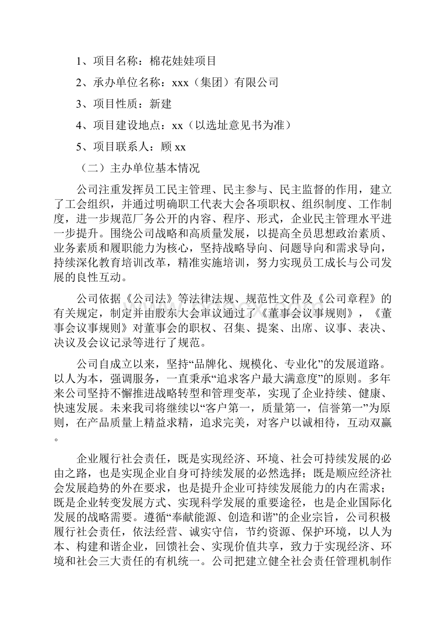 棉花娃娃项目商业策划书.docx_第2页