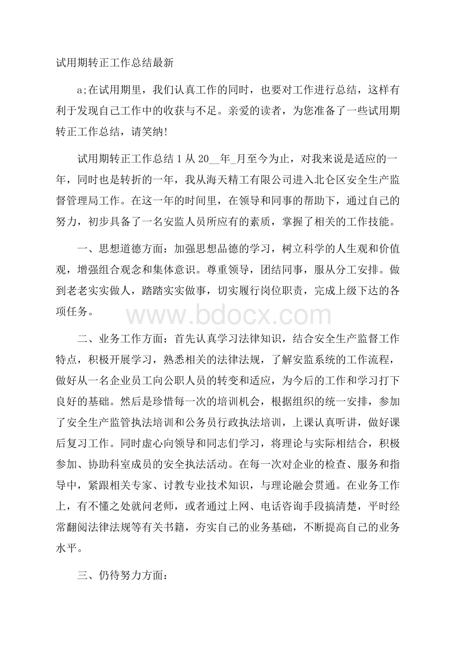 试用期转正工作总结最新.docx