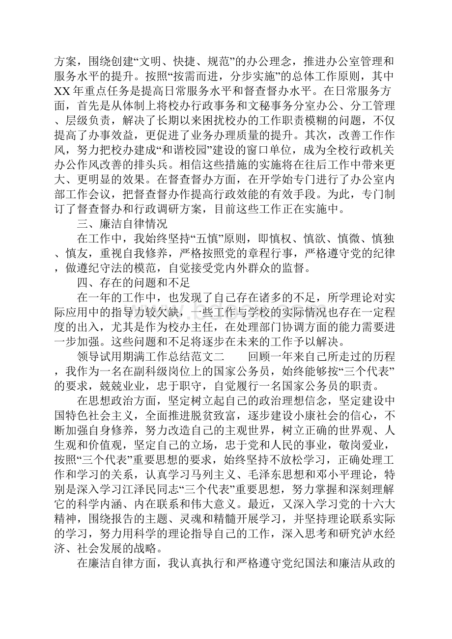 XX年领导试用期满工作总结.docx_第2页