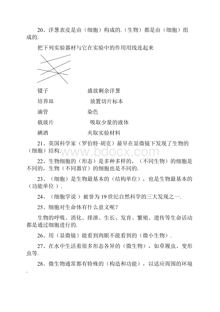 人教版六年级下册科学复习资料.docx_第3页