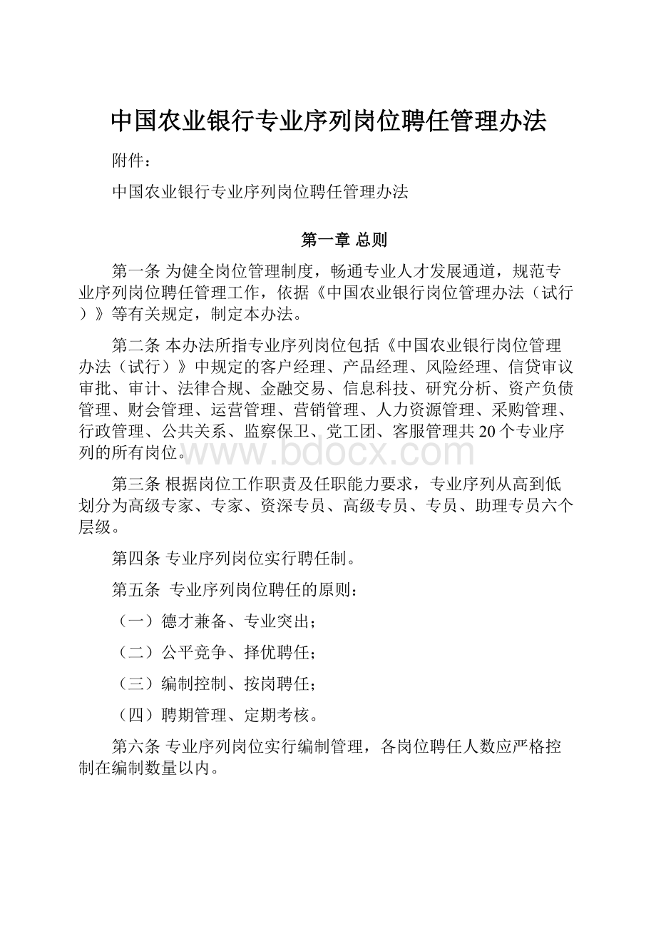 中国农业银行专业序列岗位聘任管理办法.docx_第1页