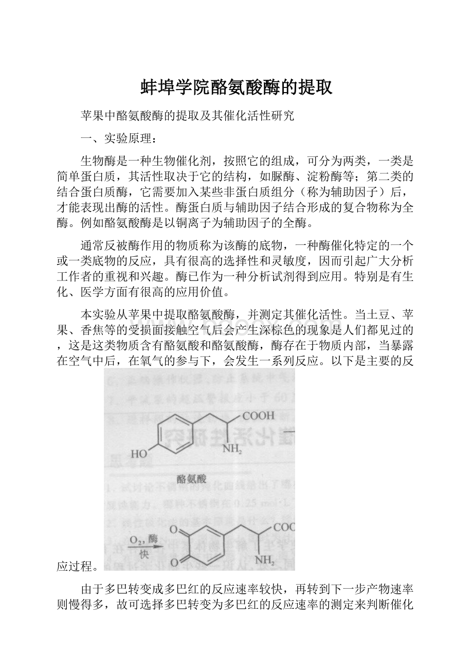 蚌埠学院酪氨酸酶的提取.docx