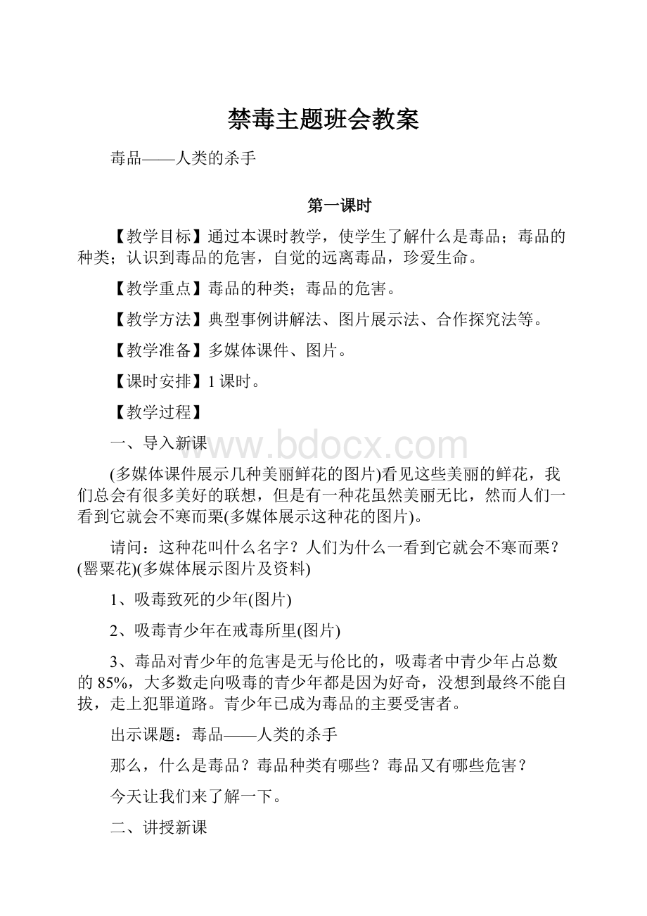 禁毒主题班会教案.docx_第1页