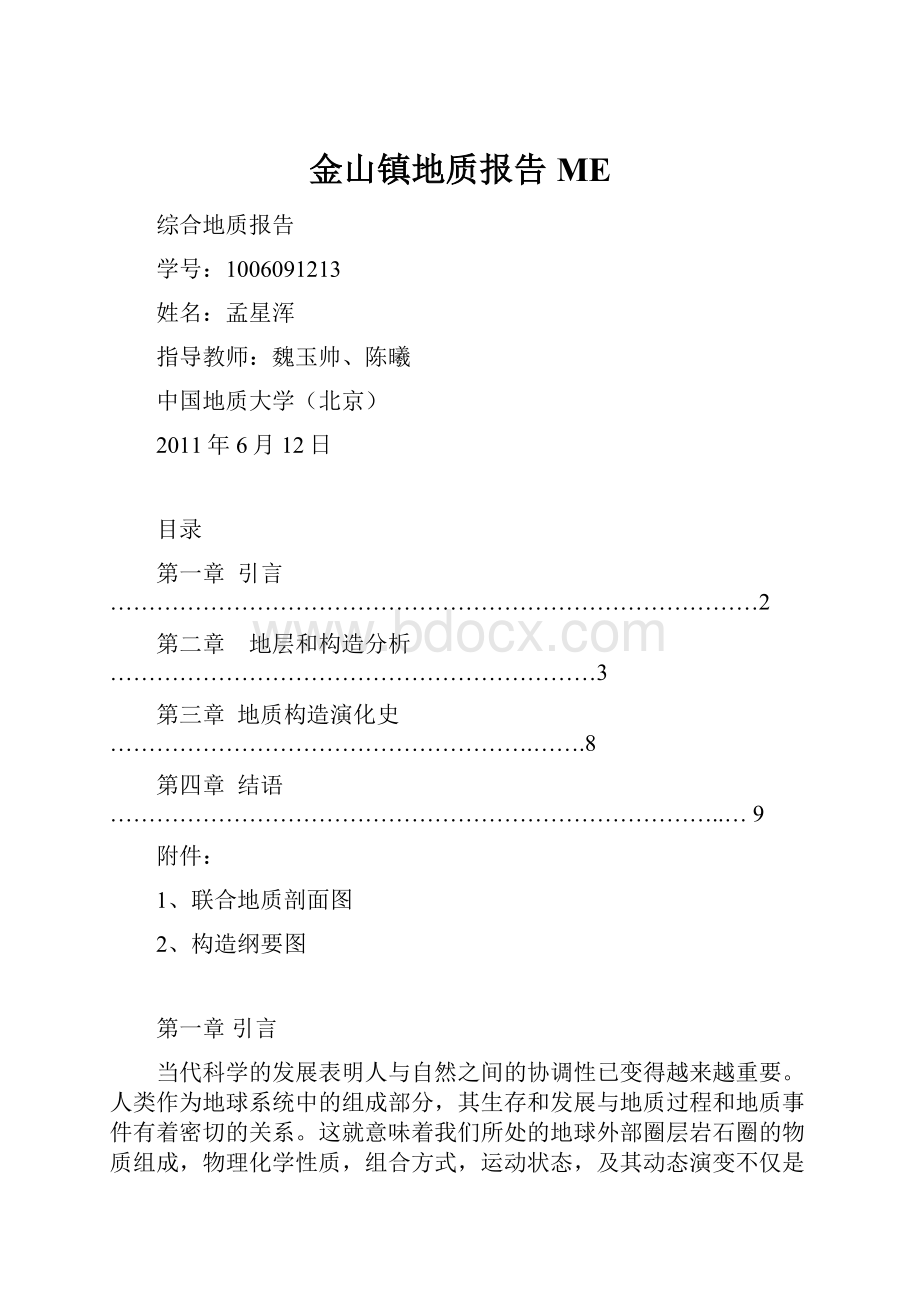 金山镇地质报告ME.docx_第1页