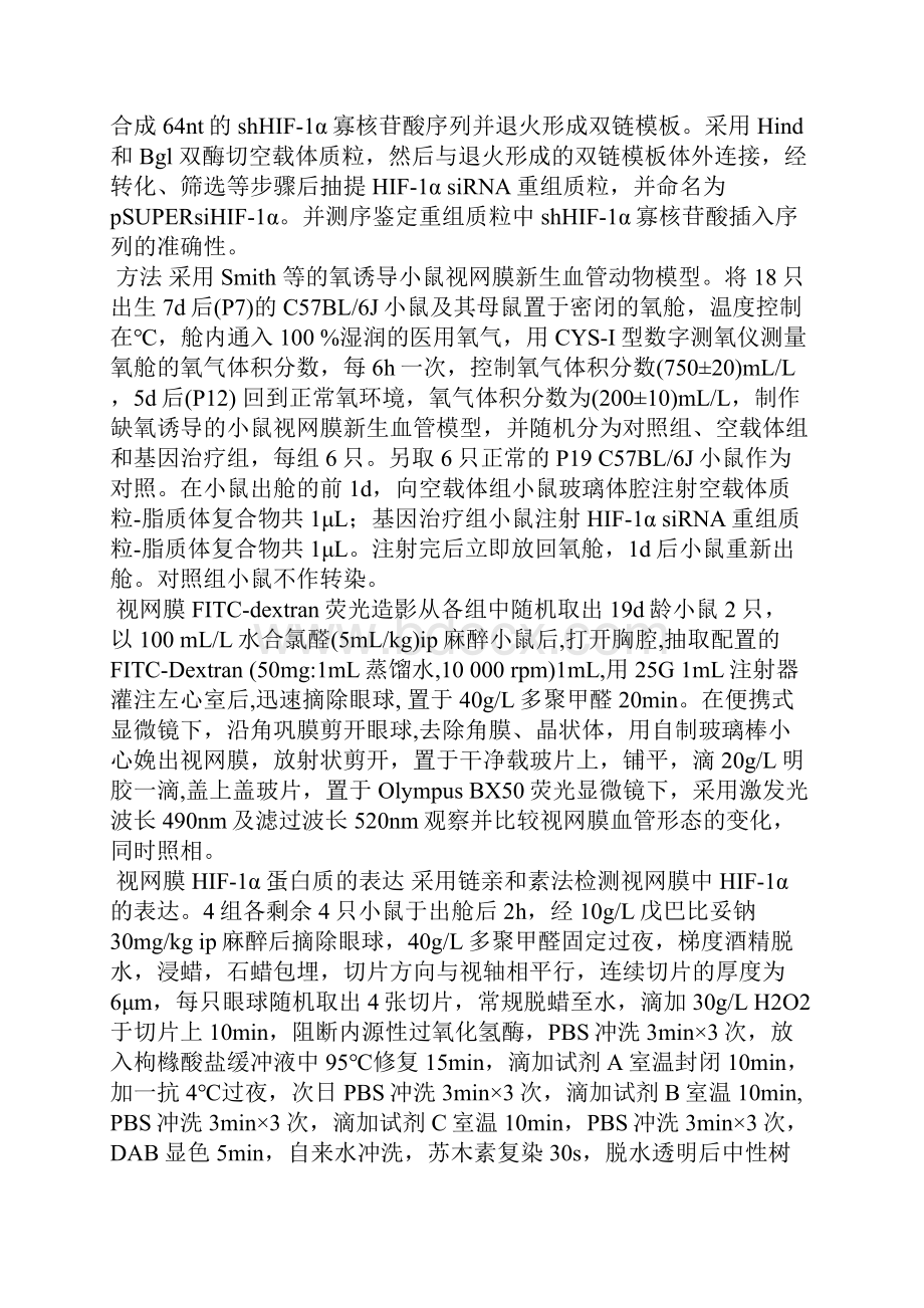 干扰RNA抑制小鼠视网膜HIF.docx_第3页