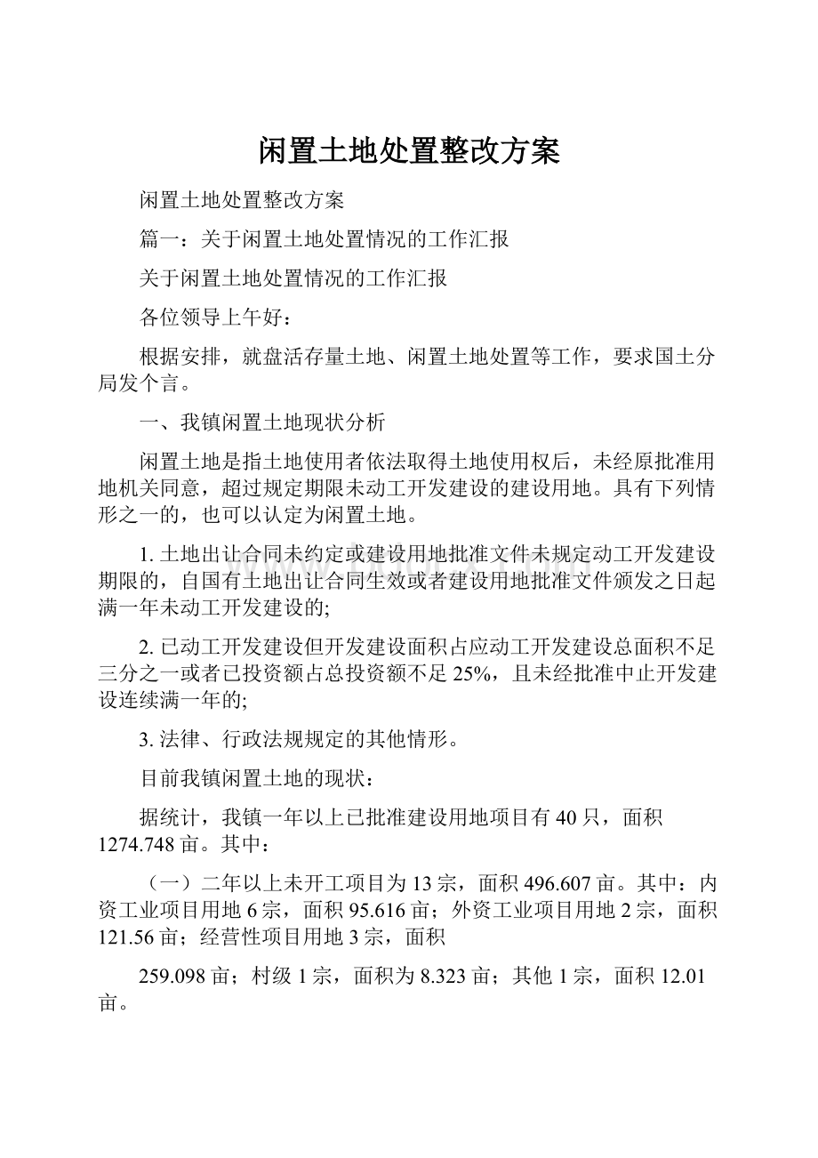 闲置土地处置整改方案.docx