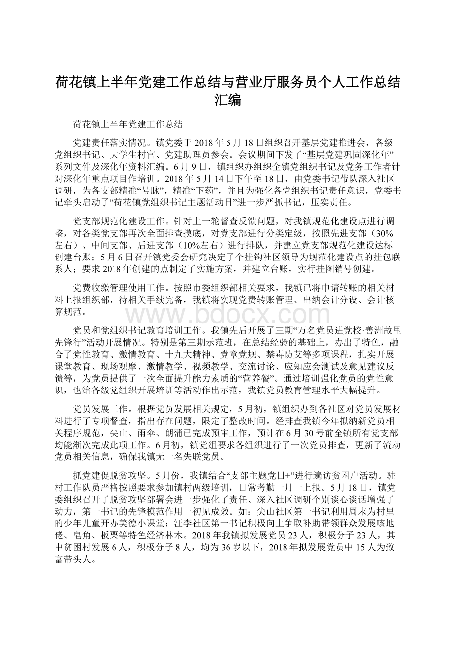 荷花镇上半年党建工作总结与营业厅服务员个人工作总结汇编.docx_第1页